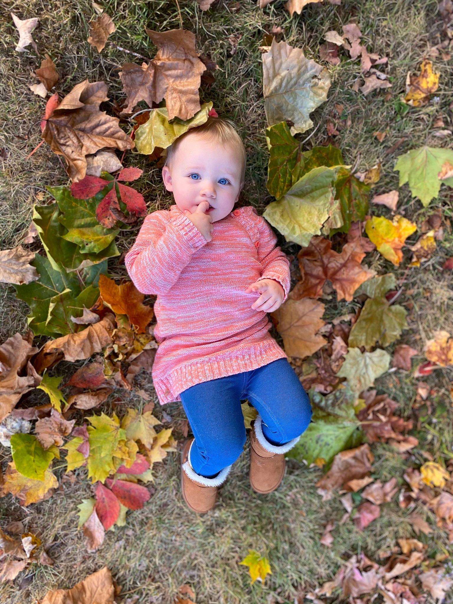 Airabella joined the competition — help win amazing prizes! autumn, child, leaf, person, plant, play, toddler, tree
