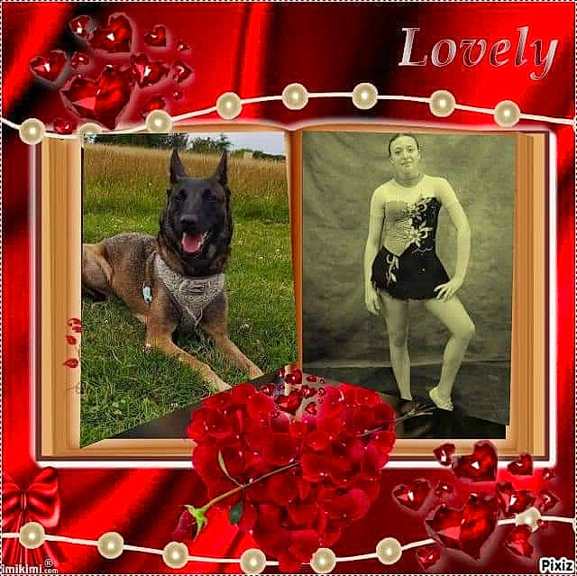Miha a rejoint le concours — aidez-le/la à gagner de superbes lots ! cane_corso, canidae, carnivore, dog, dog_breed, fawn, german_shepherd_dog, great_dane, guard_dog, heart, picture_frame, valentines_day, working_dog