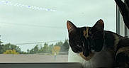 Mallory is registered to the contest to win money with this photo: