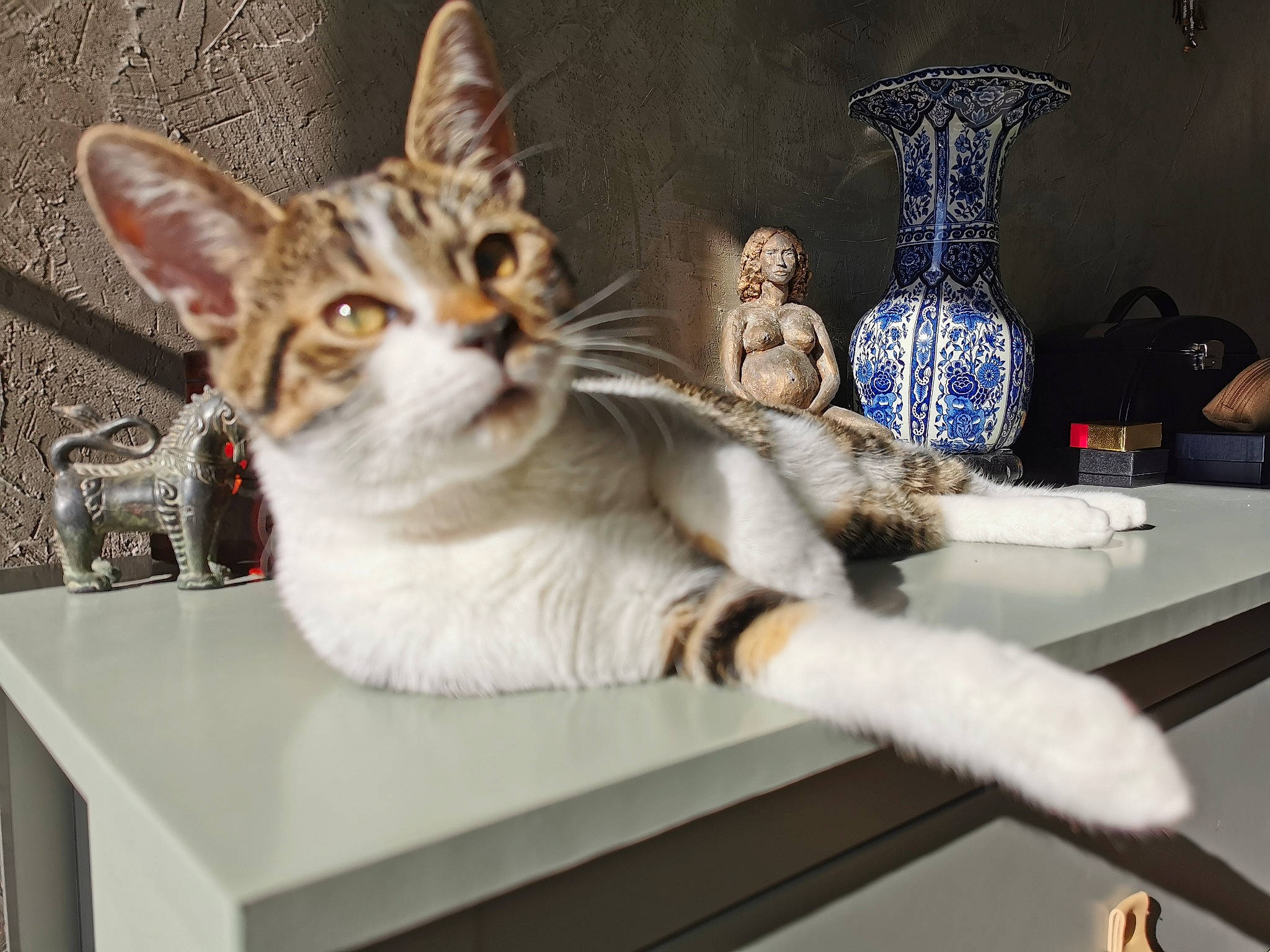 Quartz a rejoint le concours — aidez-le/la à gagner de superbes lots ! artifact, carnivore, cat, ceramic, domestic_short_haired_cat, drinkware, felidae, fur, paw, pet_supply, pitcher, porcelain, pottery, serveware, small_to_medium_sized_cats, still_life_photography, tail, vase, vertebrate, whiskers