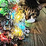 cat, tinsel, colorful_lights, curious, wooden_floor, indoor, decorations, festive, close_up, pet, animal, tabby_cat, eyes, whiskers, floor, holiday, sparkle, shiny, celebration, cute