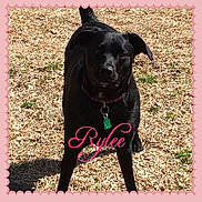 Rylee is registered to the contest to win money with this photo: