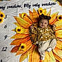 Athena is registered to the contest to win money with this photo: baby, smiling, sunflower, blanket, flower, headband, clothing, infant, lying_down, happy, indoors, cute, decorative, pattern, fabric, person, child, soft_toys, yellow, brown