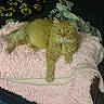 cat, orange_cat, fluffy_cat, pet, animal, feline, indoor, blanket, pink_blanket, fur, whiskers, relaxed, lying_down, looking_at_camera, cozy, soft_texture, household, domestic_animal, cute, resting
