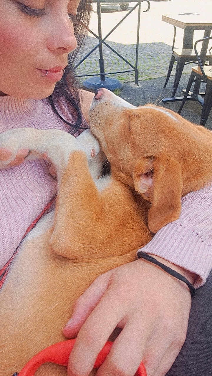 Marley