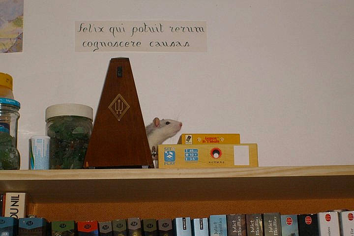 Nikita a rejoint le concours — aidez-le/la à gagner de superbes lots ! book, bookcase, furniture, room, shelf, shelving, wall, wood