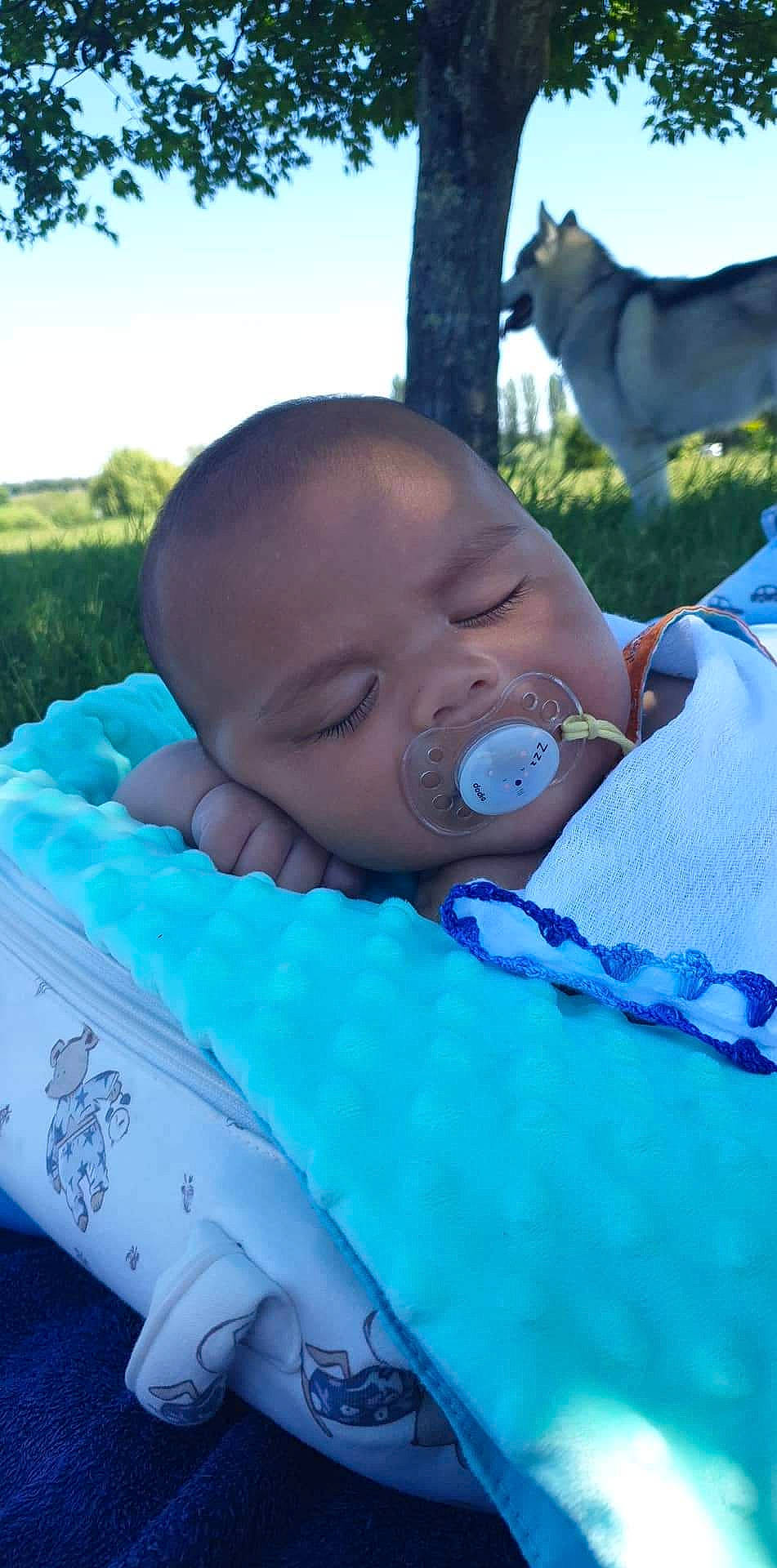 Moearii participe au concours pour gagner de l'argent avec cette photo : azure, baby, baby_products, baby_toddler_clothing, blue, carnivore, child, companion_dog, dog, electric_blue, fun, grass, green, happy, leisure, person, recreation, skin, sky, toddler