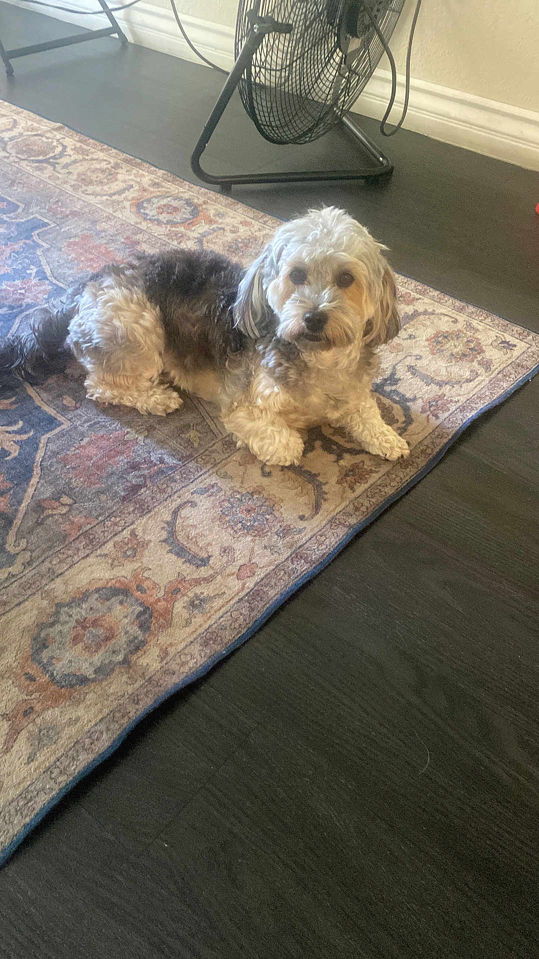 Rosie