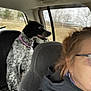 Lady joined the competition — help win amazing prizes! dog, car_interior, window, person, glasses, seat, collar, animal, pet, spotted_dog, side_view, blurred, road_trip, backseat, casual, daytime, furry, looking_out_window, human_partial, transportation