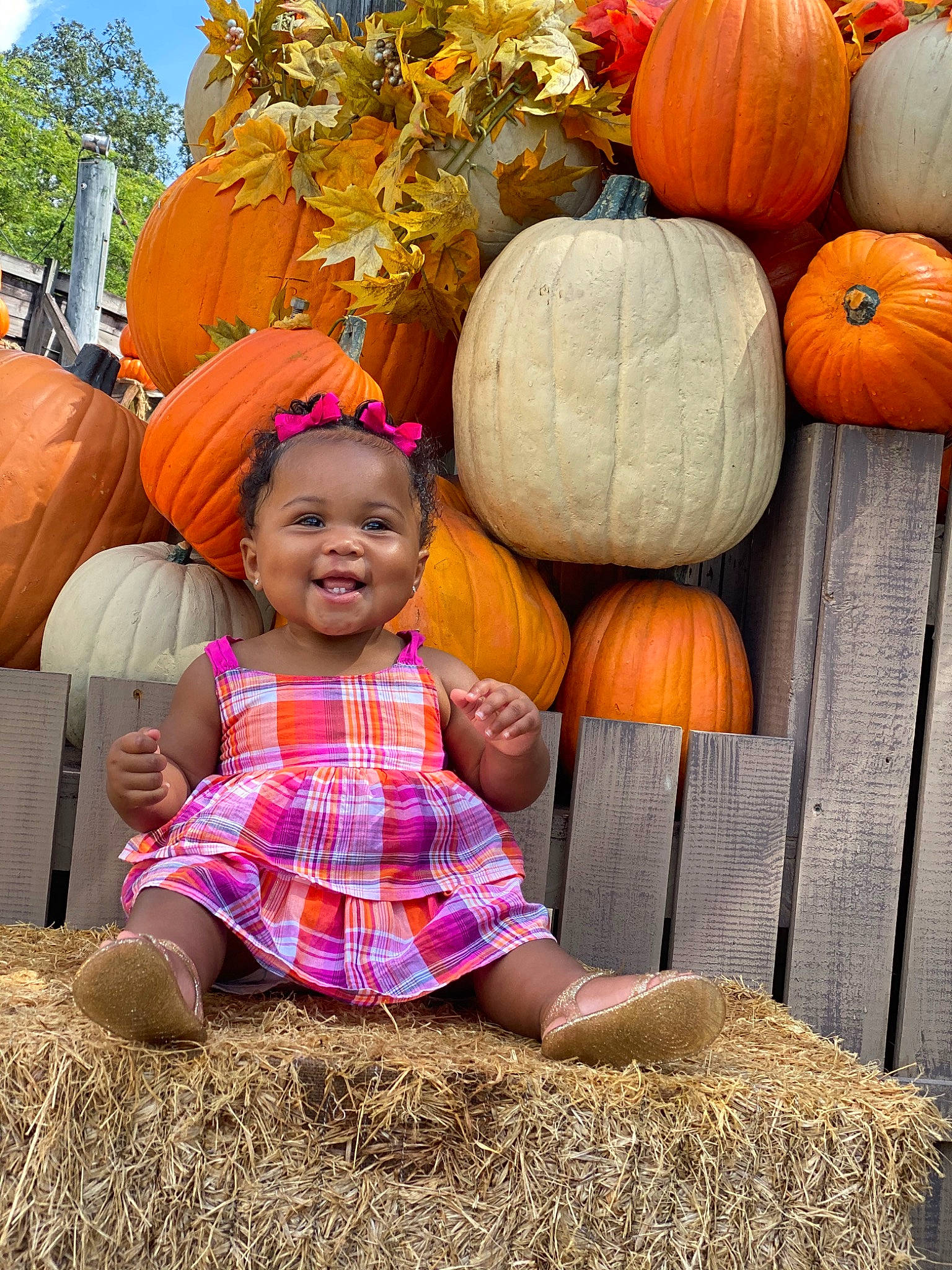 Meláni joined the competition — help win amazing prizes! _and_melon_family, _gourd, autumn, calabaza, child, cucumber, cucurbita, fruit, gourd, headgear, joy, orange, person, plant, pumpkin, smile, squash, toddler, vacation, vegetable