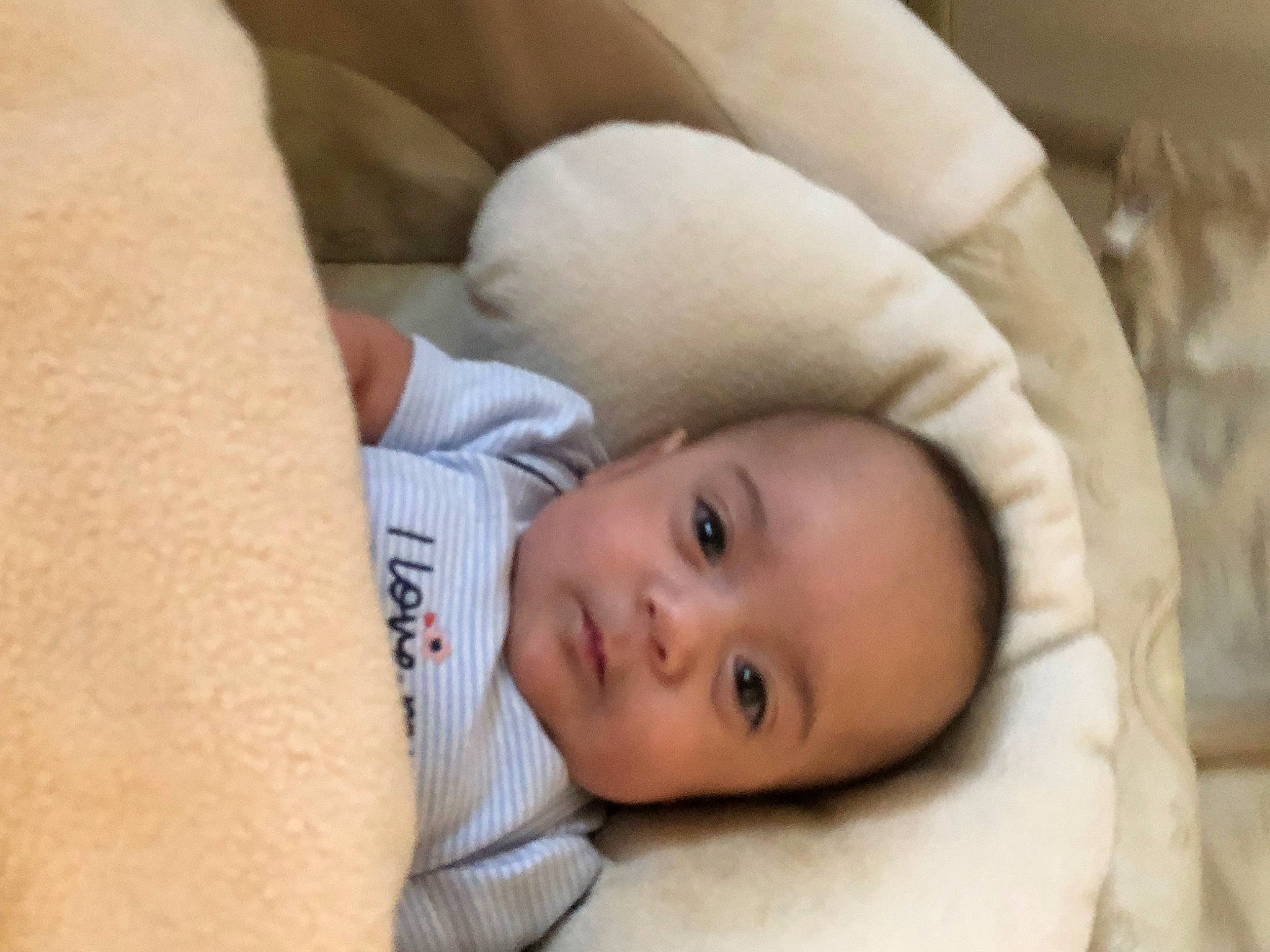 Luna joined the competition — help win amazing prizes! baby, baby_toddler_clothing, cheek, child, comfort, eyelash, fur, happy, linens, person, portrait_photography, toddler, wood