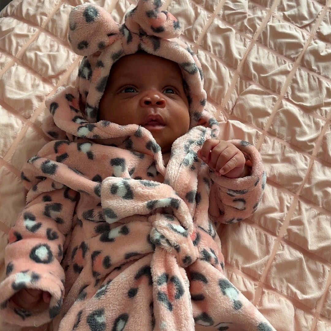 Alaia