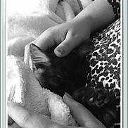 Jaizy participe au concours pour gagner de l'argent avec cette photo :