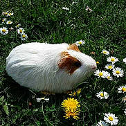 Vicky participe au concours pour gagner de l'argent avec cette photo :