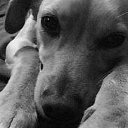 Flucky a rejoint le concours — aidez-le/la à gagner de superbes lots !