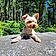 Teddy