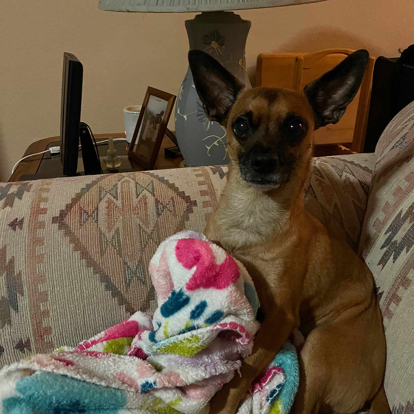 Toby