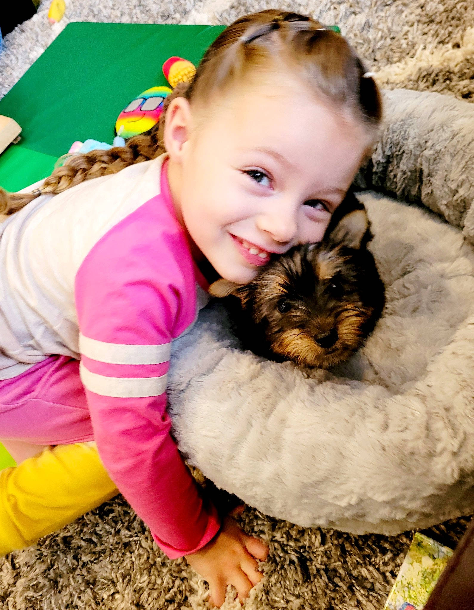 Keno joined the competition — help win amazing prizes! canidae, carnivore, child, companion_dog, dog, dog_breed, fawn, felidae, fun, fur, grass, happy, puppy_love, sitting, small_terrier, smile, sporting_group, terrier, toddler, toy_dog