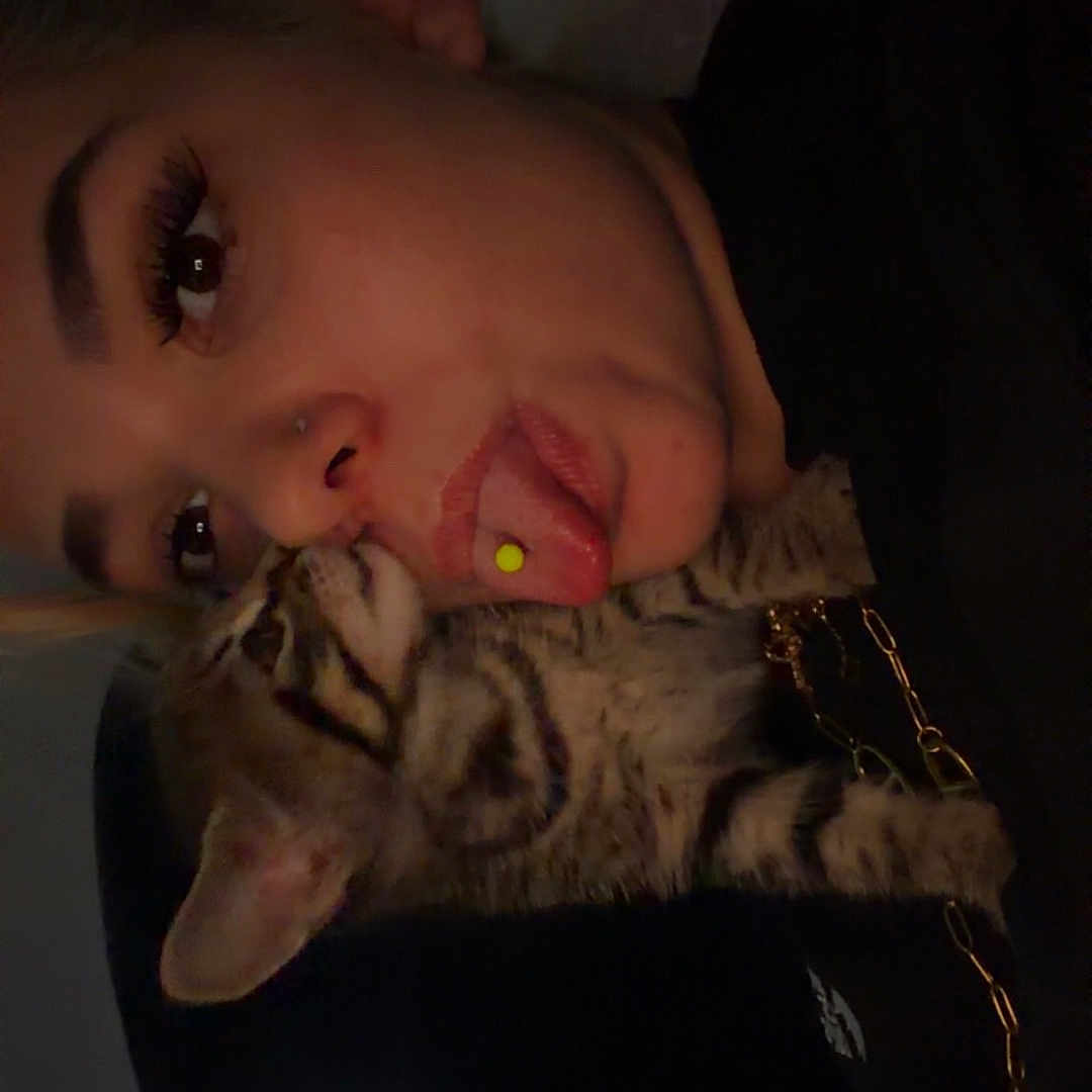 Bloom participe au concours pour gagner de l'argent avec cette photo : adult, cat, selfie, portrait, indoor, dim_lighting, striped_cat, tabby, pet, animal, person, face, tongue, nose_piercing, black_clothing, chain, closeup, cuddling, funny_pose, home