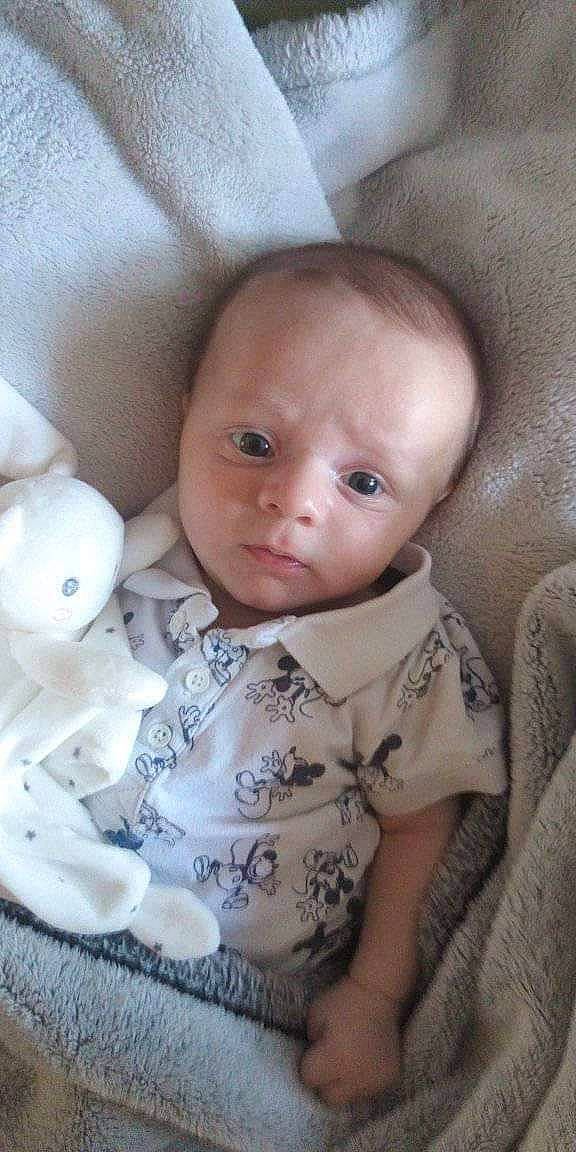 Djimmy a rejoint le concours — aidez-le/la à gagner de superbes lots ! baby, baby_toddler_clothing, cheek, child, collar, comfort, eye, eyelash, fur, grey, iris, linens, lip, nose, person, sitting, skin, sleeve, textile, toddler