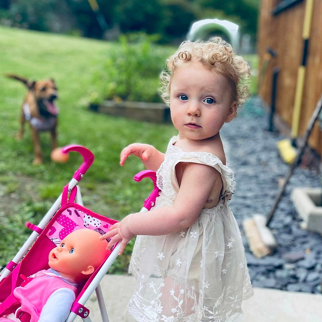 Robyn is registered to the contest to win money with this photo: accessories, alley, animal, architecture, baby, backyard, ball, barefoot, basket, beak, bed, bird, blonde, bodypart, brick, buggy, building, canine, carriage, cat