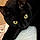 Salem
