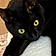 Salem