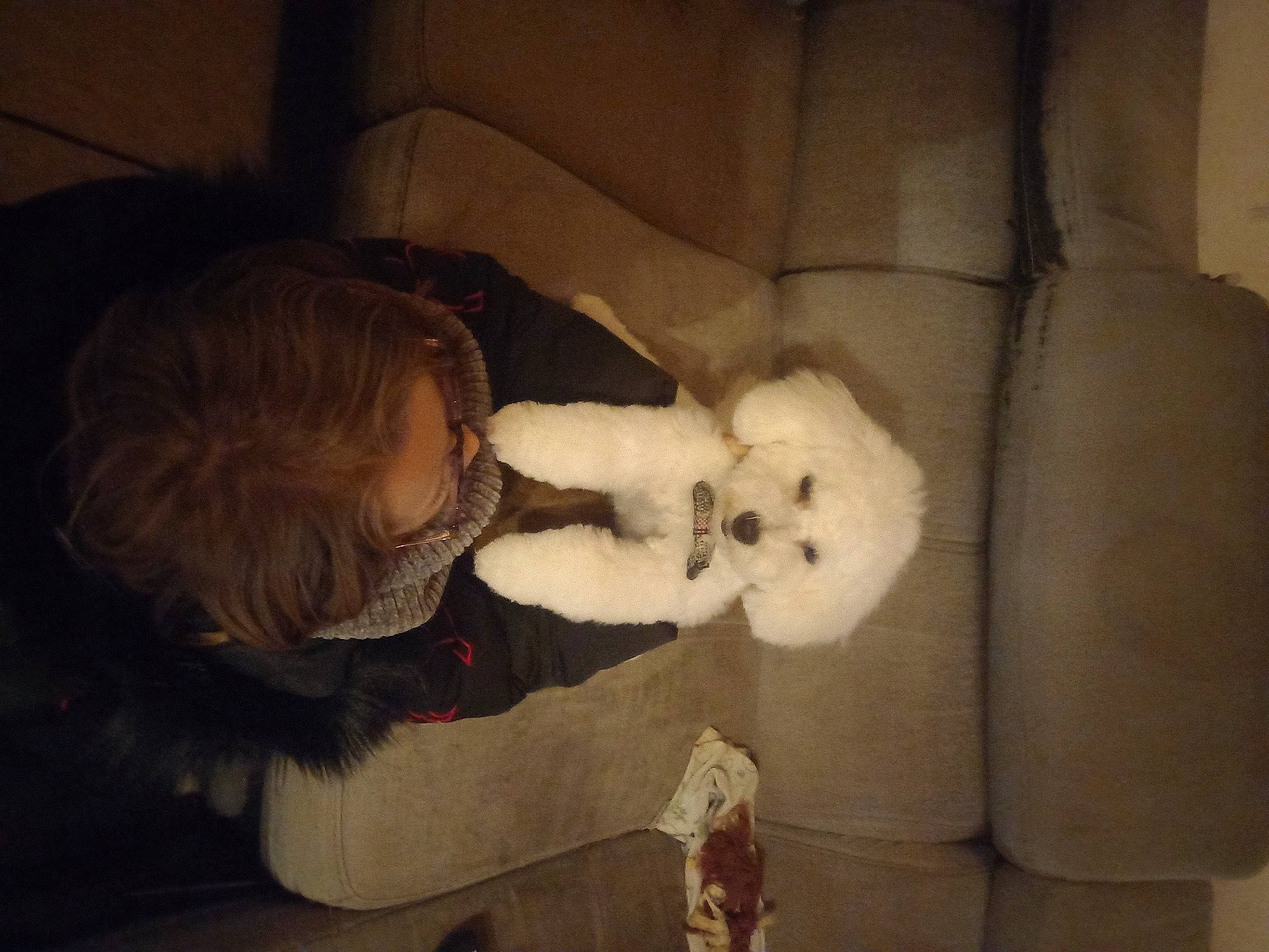 Tobby participe au concours pour gagner de l'argent avec cette photo : canidae, comfort, companion_dog, couch, dog_breed, felidae, fur, fur_clothing, lap, plush, room, sitting, small_to_medium_sized_cats, sporting_group, stuffed_toy, tail, teddy_bear, toy, whiskers, wool