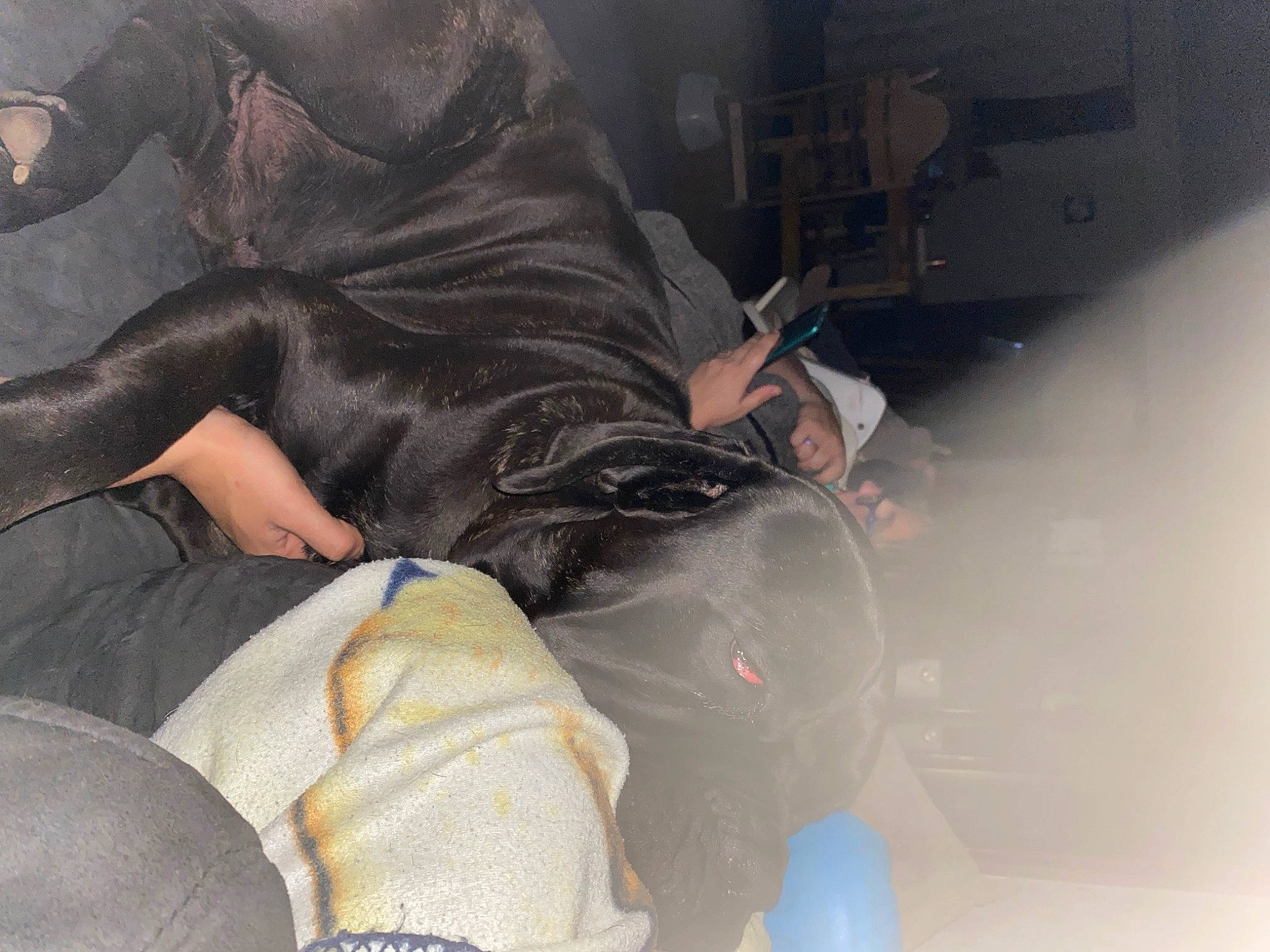 Peps a rejoint le concours — aidez-le/la à gagner de superbes lots ! auto_part, automotive_exterior, automotive_lighting, car_seat, comfort, elbow, event, fun, headgear, helmet, human_body, human_leg, joint, knee, lap, leg, sitting, thigh, vehicle_door, windshield