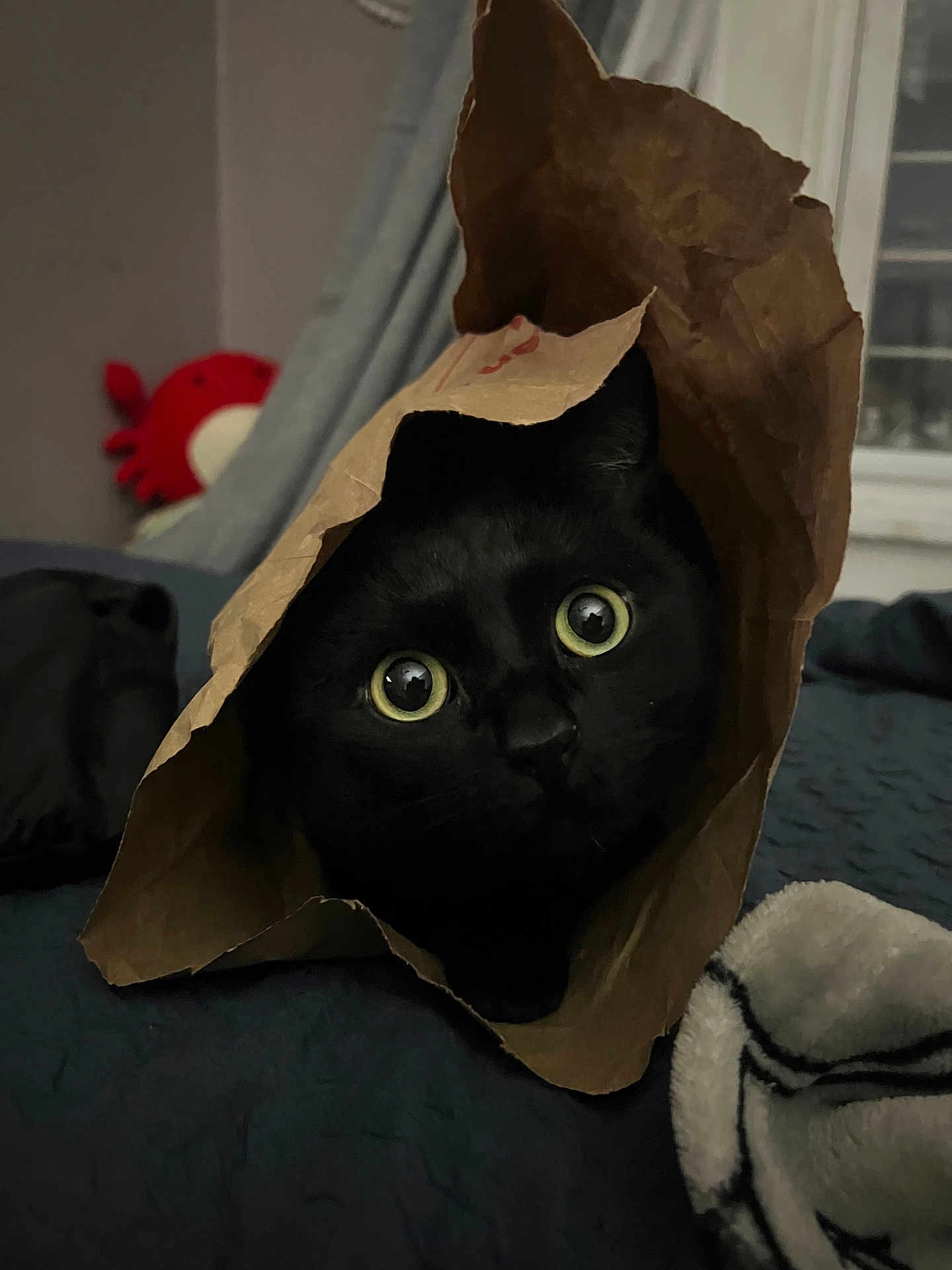 Kuro
