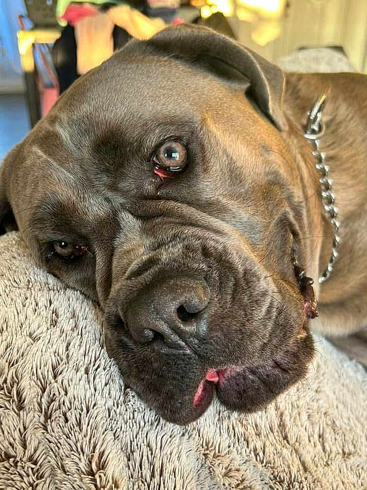 Usko
