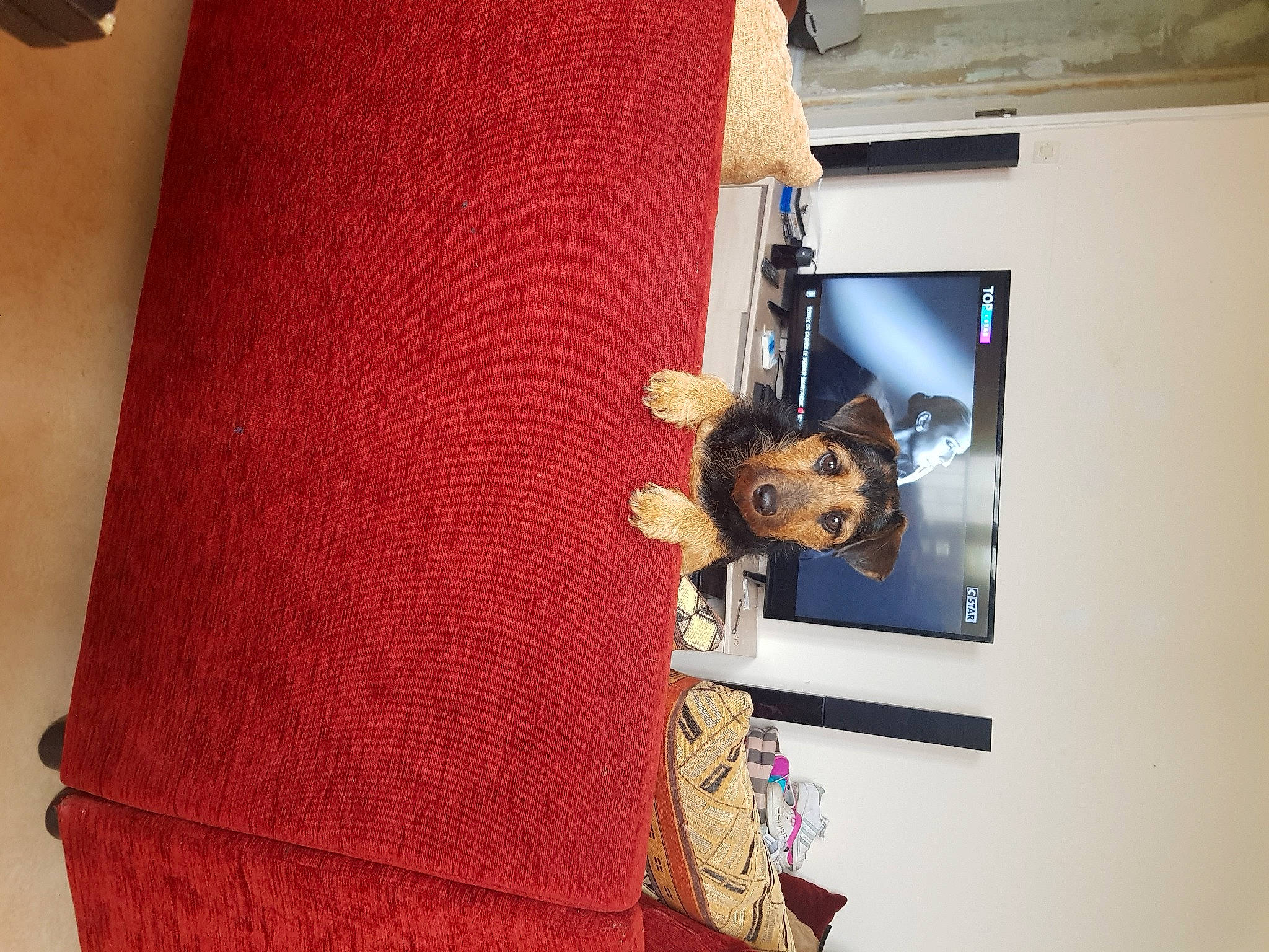 Maya participe au concours pour gagner de l'argent avec cette photo : art, carmine, doll, fashion_design, flooring, hardwood, house, interior_design, linens, machine, magenta, material_property, paper_product, pattern, peach, room, toy, visual_arts, window, wood