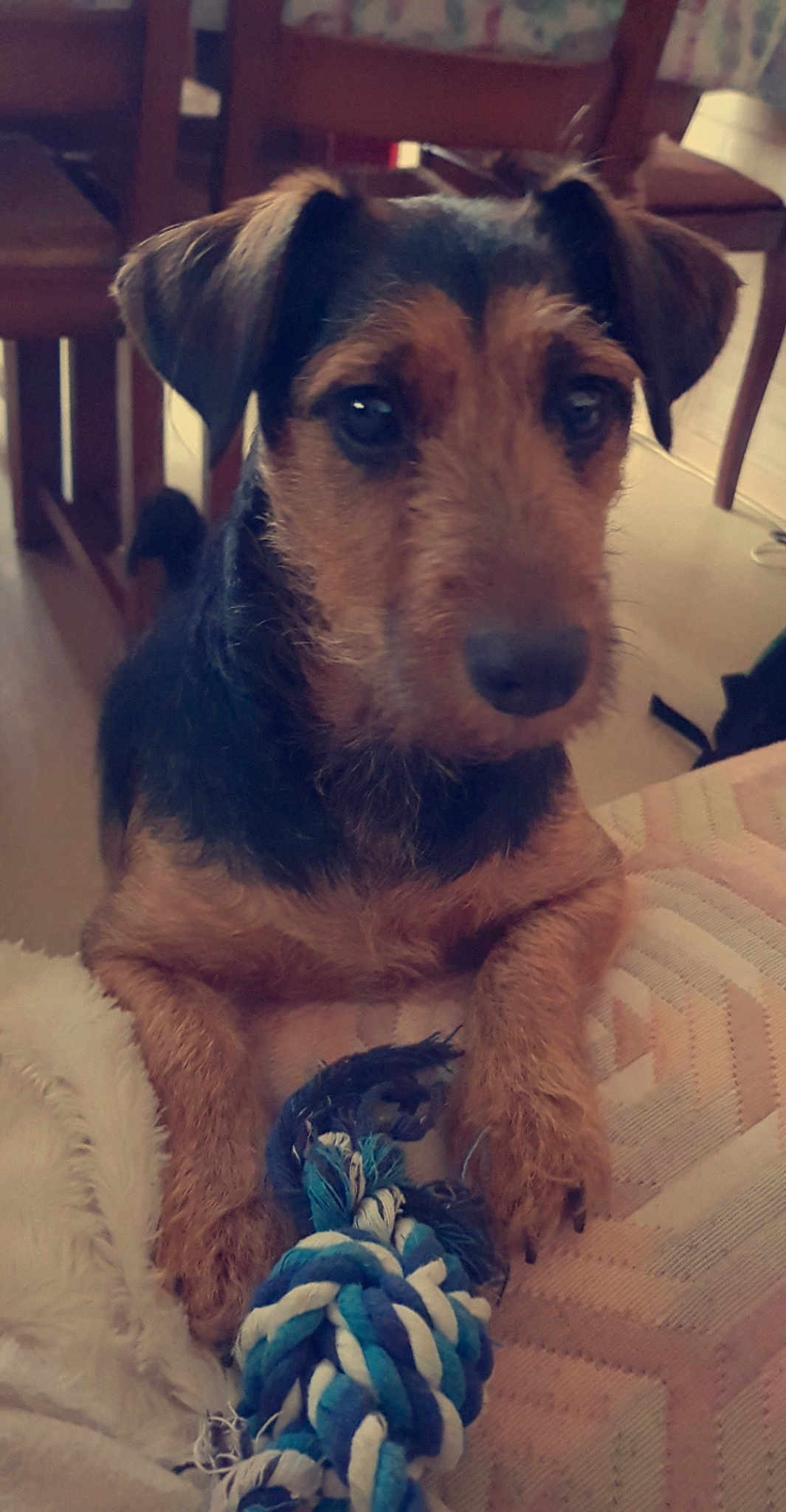 Maya