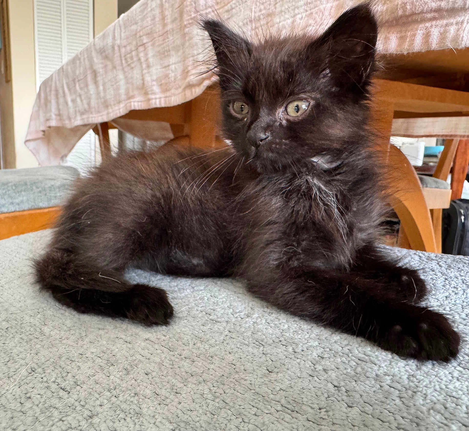 Coco Chanel