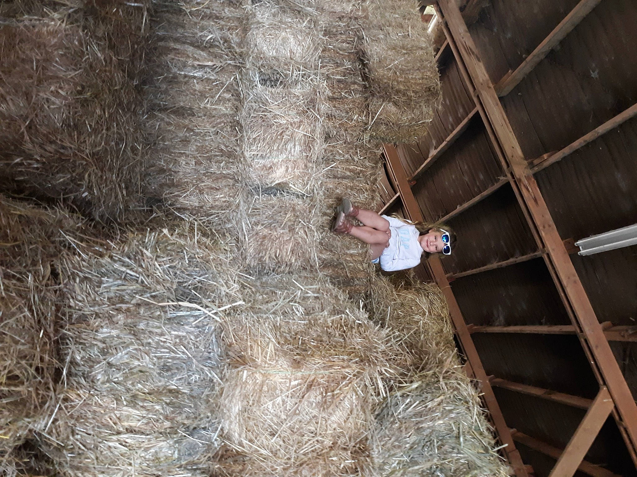 Maycee joined the competition — help win amazing prizes! beam, ceiling, flash_photography, fur, grass, hardwood, headwear, joy, metal, person, roof, soil, straw, trunk, twig, wood