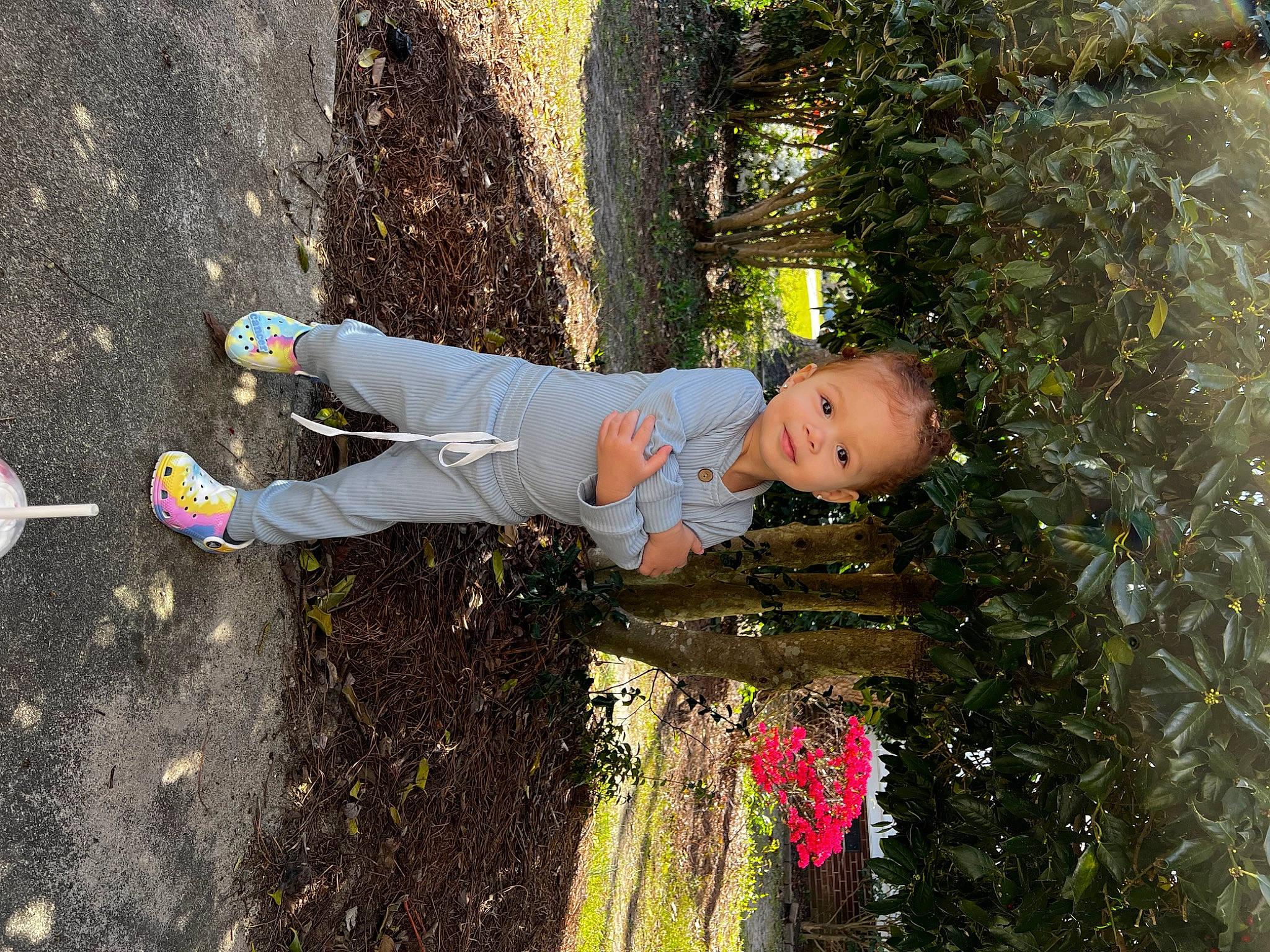 Angela is registered to the contest to win money with this photo: asphalt, child, concrete, fir, fun, grass, happy, leisure, people_in_nature, person, plant, road_surface, shadow, shrub, sidewalk, smile, soil, tar, toddler, tree