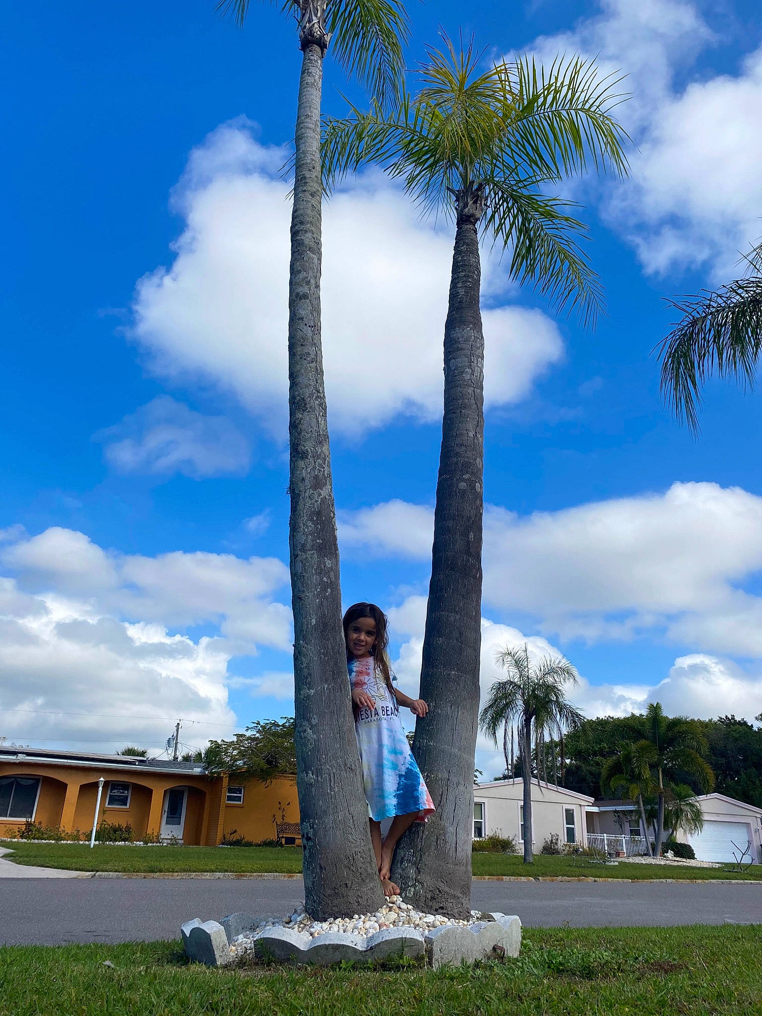 Camie joined the competition — help win amazing prizes! arecales, attalea_speciosa, blue, building, cloud, cumulus, desert_palm, grass, joy, leisure, palm_tree, person, plant, pole, shade, sky, terrestrial_plant, tree, tropics, trunk