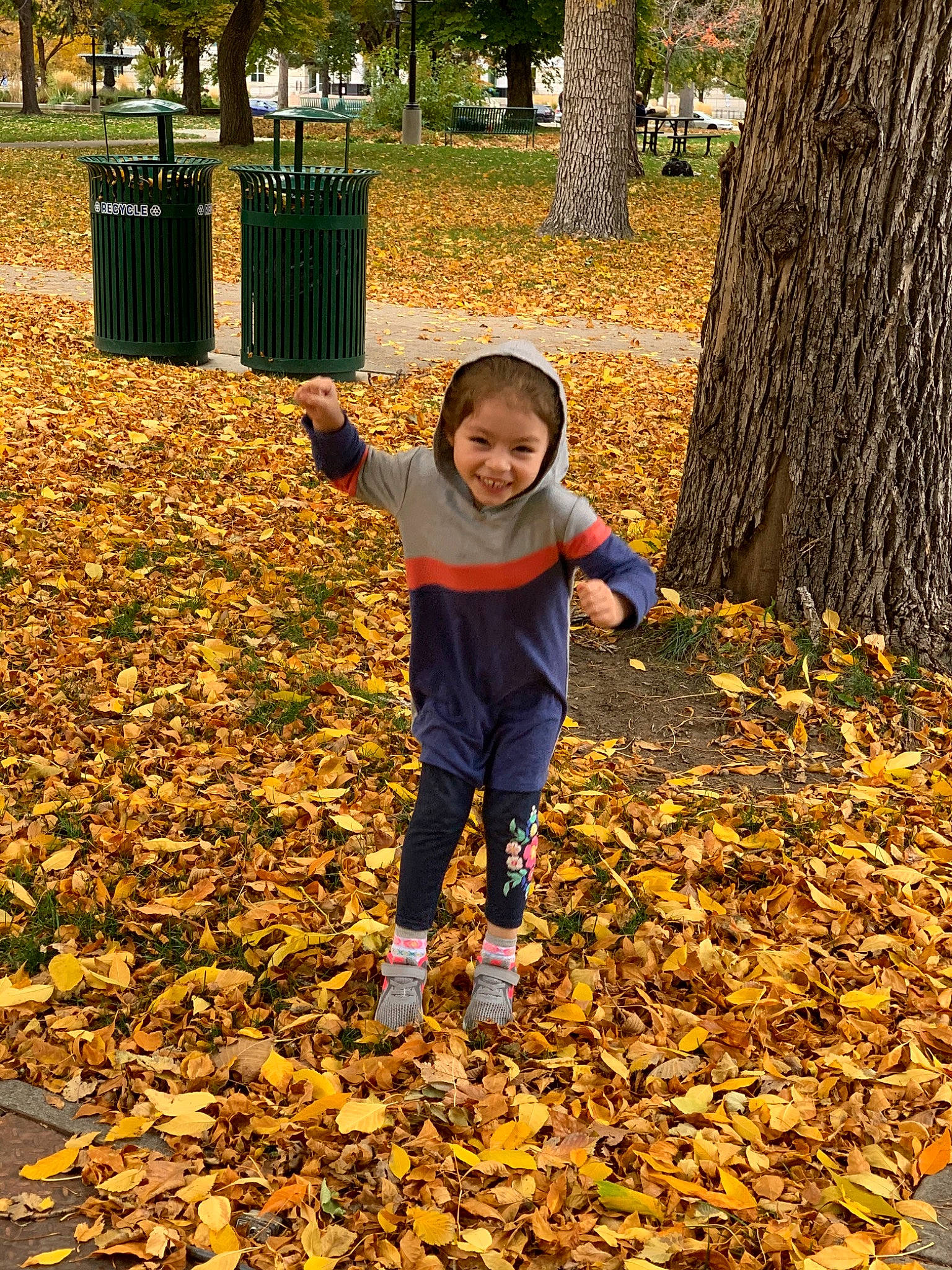 Eiza Lee Rose joined the competition — help win amazing prizes! autumn, branch, child, deciduous, forest, fun, happy, joy, leaf, people_in_nature, person, plant, play, smile, toddler, tree, woodland, woody_plant, yellow