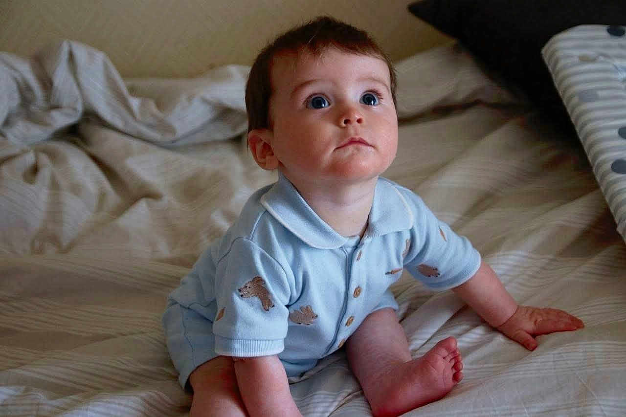 Freddie