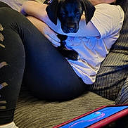 Daisy joined the competition — help win amazing prizes! person, puppy, black_dog, couch, indoor, casual_clothing, smartphone, relaxing, young_person, pet, leggings, socks, seated, holding_pet, home, comfort, technology, neutral_expression, furniture, close_up