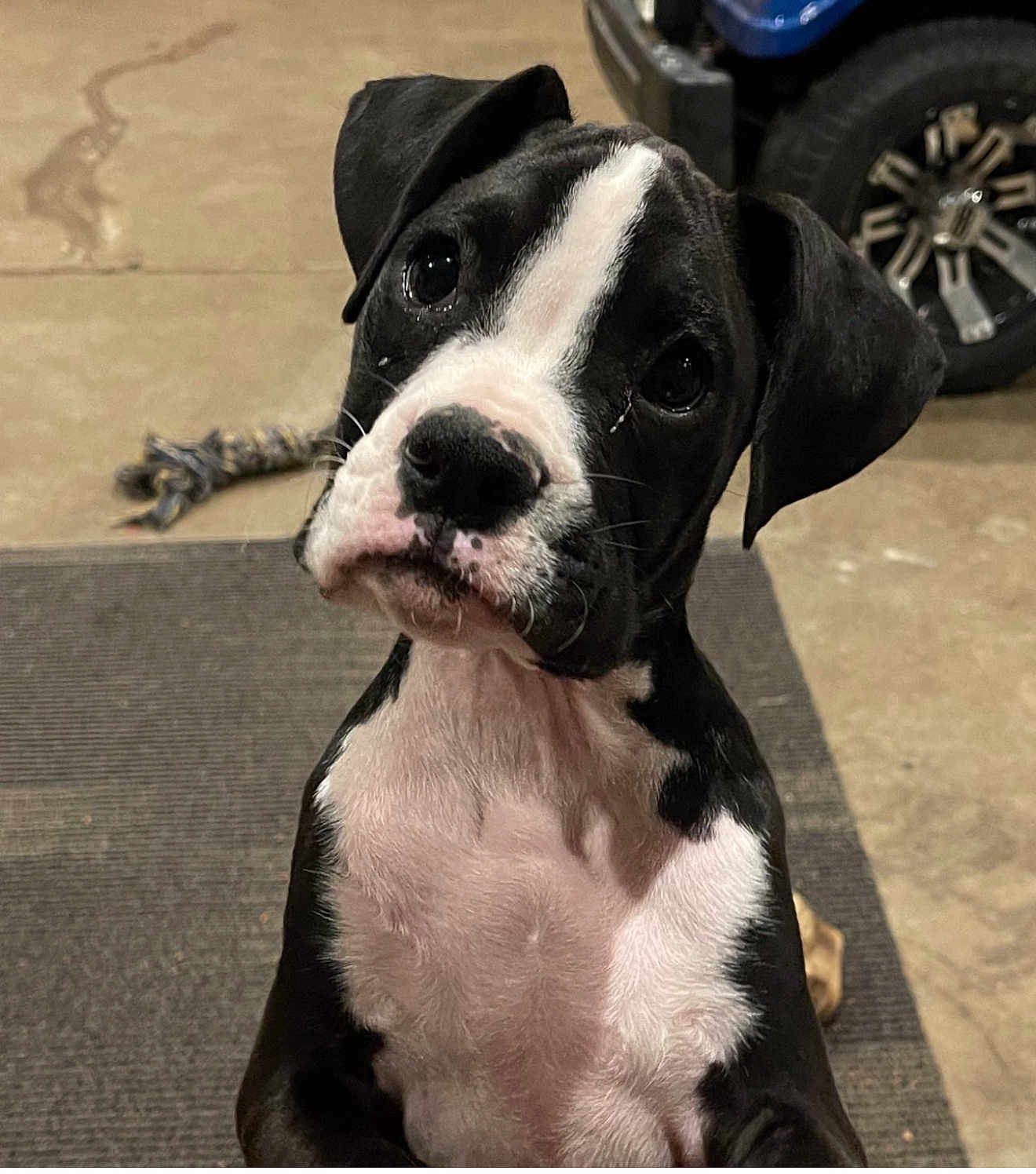 Tucker