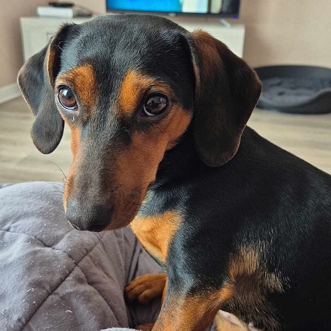 Ruby
