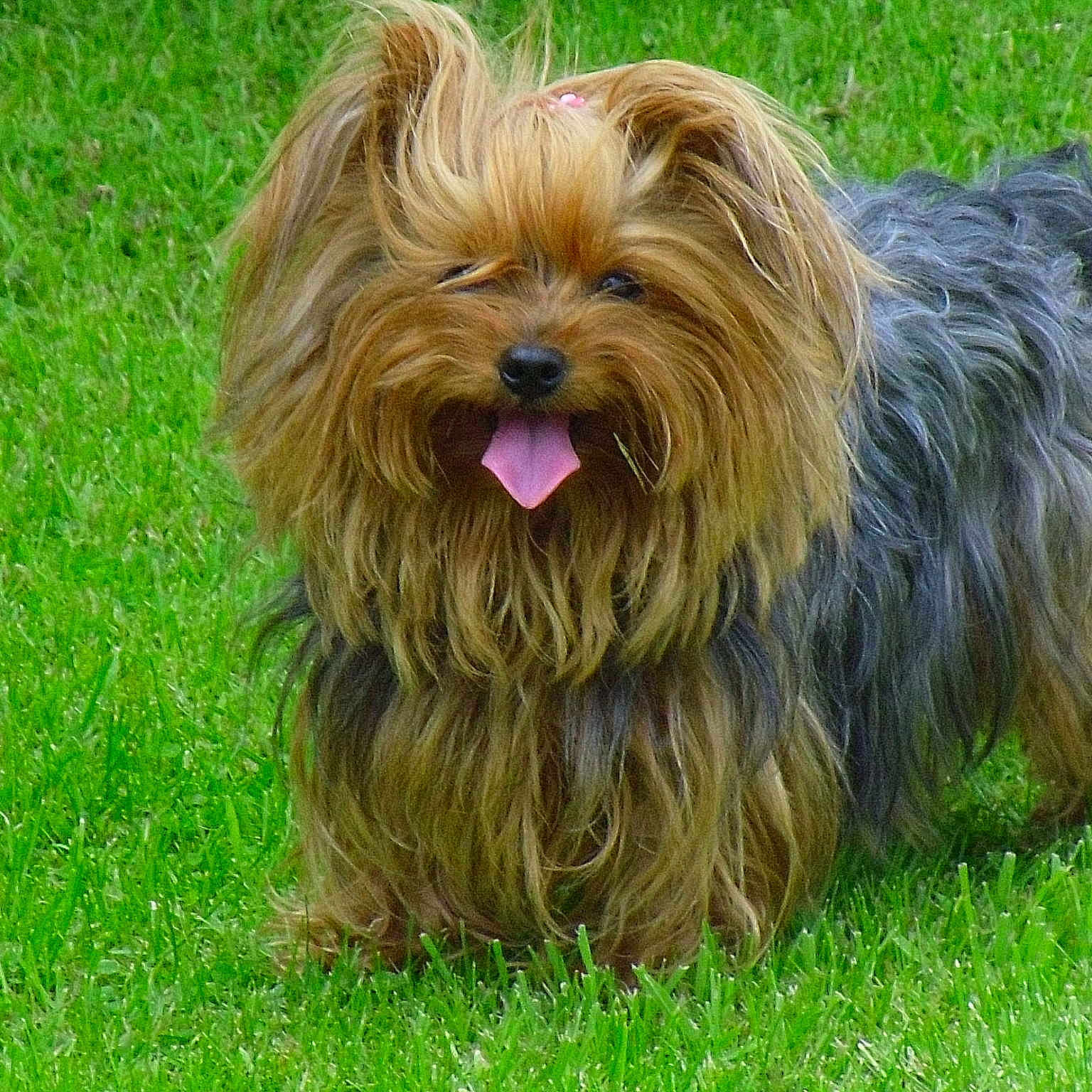 Tigi joined the competition — help win amazing prizes!