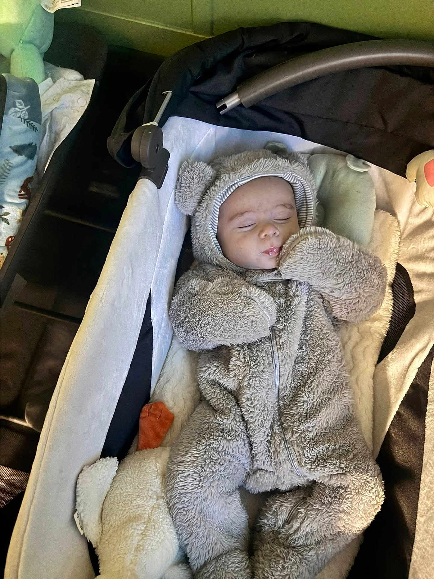 Thomas James is registered to the contest to win money with this photo: baby, sleeping, fuzzy_costume, bear_ears, bassinet, blanket, plush_toy, cozy, indoors, child, cute, infant, soft_texture, resting, wearing_onesie, peaceful, nursery, warm_clothing, toddler, comfort