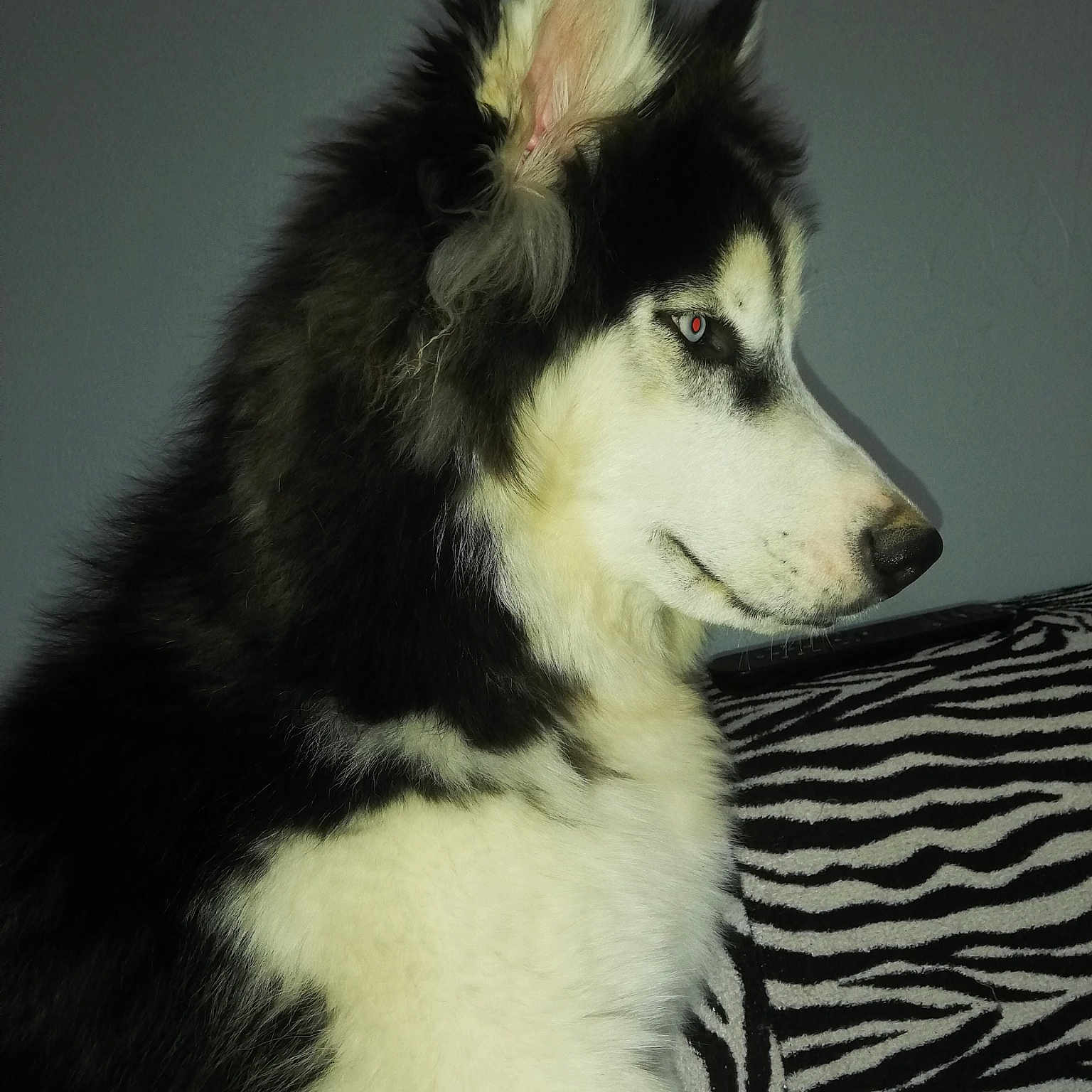 Enko