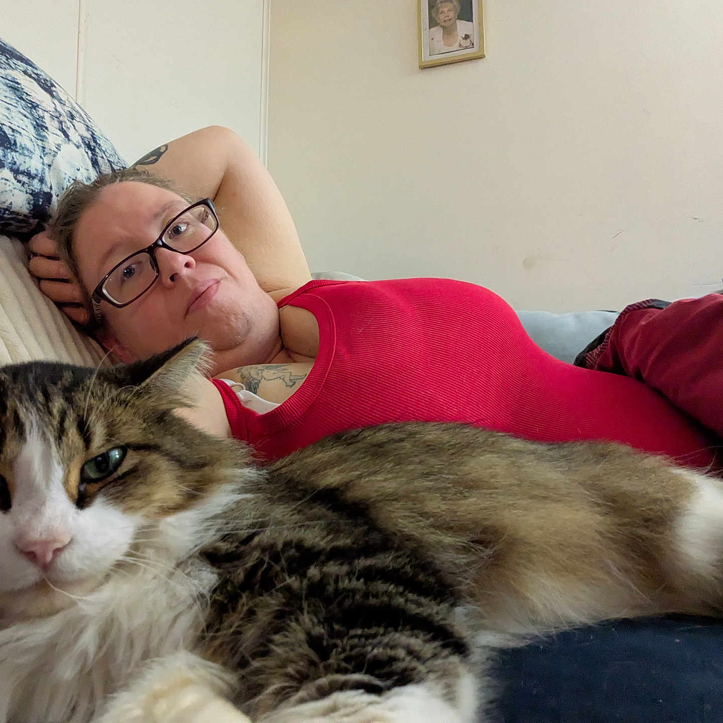 Sugar is registered to the contest to win money with this photo: accessories, adult, animal, architecture, building, cat, couch, cushion, face, female, furniture, glasses, head, homedecor, indoors, livingroom, person, pet, room, woman
