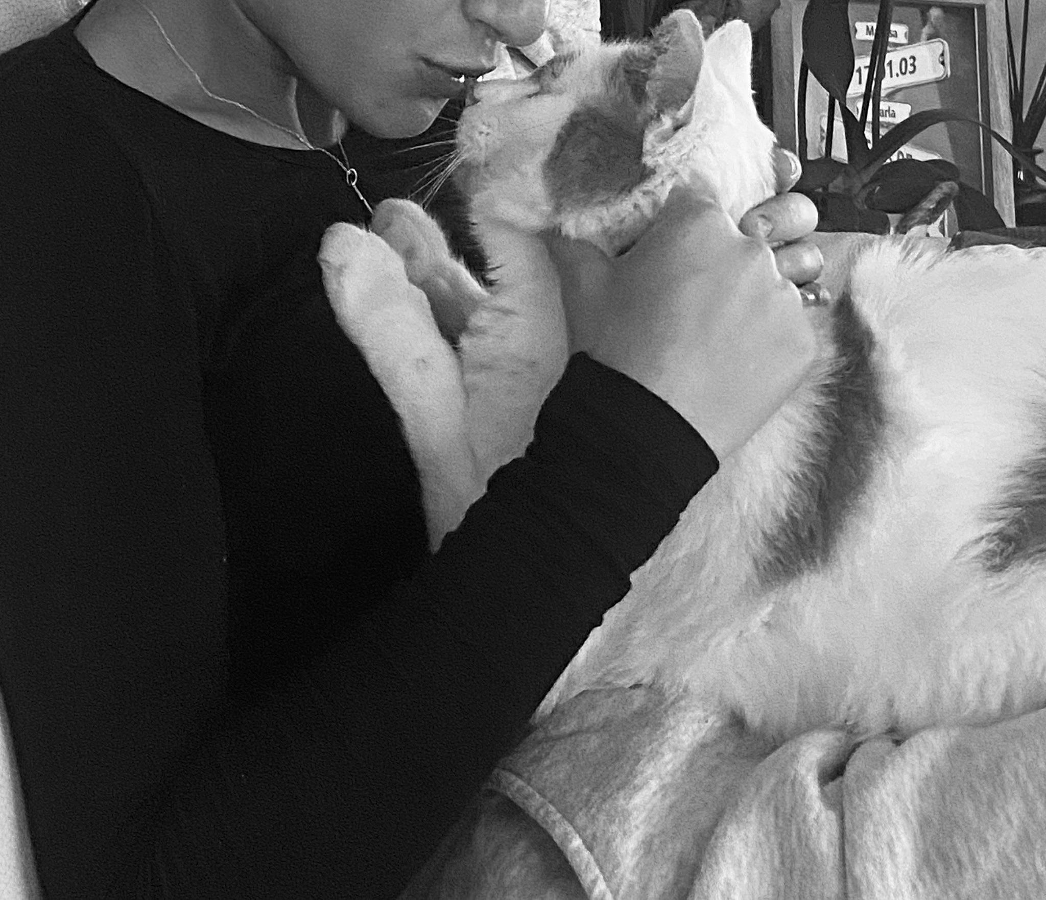 Mango a rejoint le concours — aidez-le/la à gagner de superbes lots ! beard, black_and_white, carnivore, companion_dog, dog_breed, ear, eyelash, eyewear, felidae, fur, gesture, happy, monochrome, monochrome_photography, neck, small_to_medium_sized_cats, style, vision_care, whiskers, white