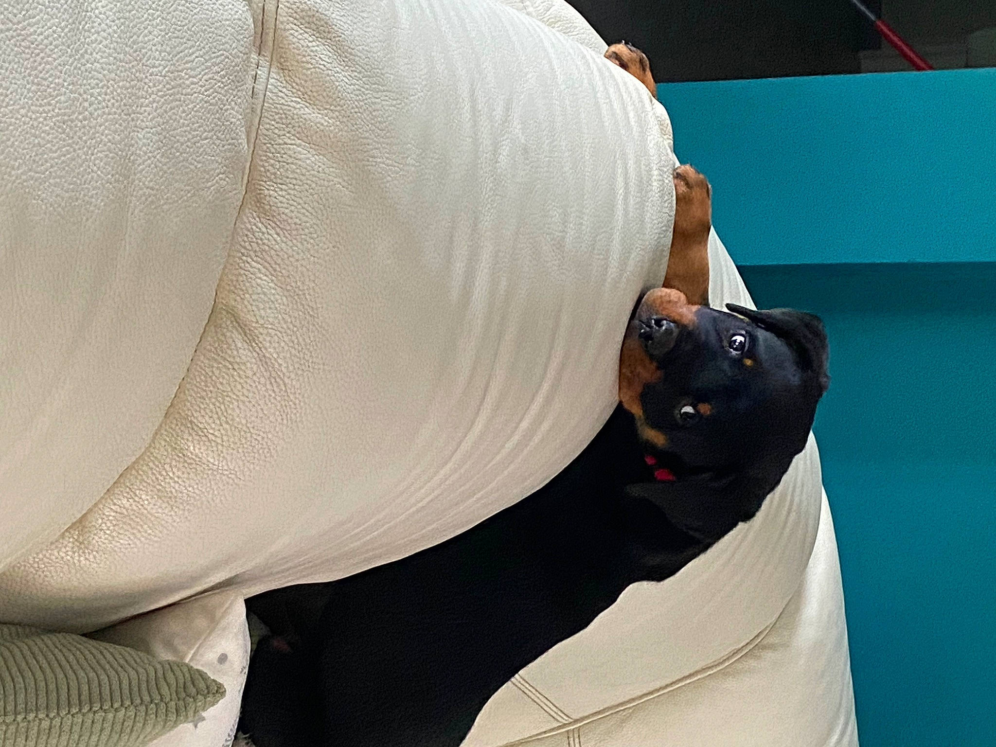 Uzy participe au concours pour gagner de l'argent avec cette photo : back, bridal_accessory, comfort, elbow, fashion_accessory, human_leg, knee, linens, pattern, shoulder, sitting, sleeve, sunglasses, t_shirt, thigh, waist