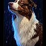 dog, wet_fur, rain, close_up, portrait, animal, brown_and_white, outdoor, water_droplets, calm, serene, furry, pet, rainfall, moisture, side_view, natural_light, quiet, peaceful, expression