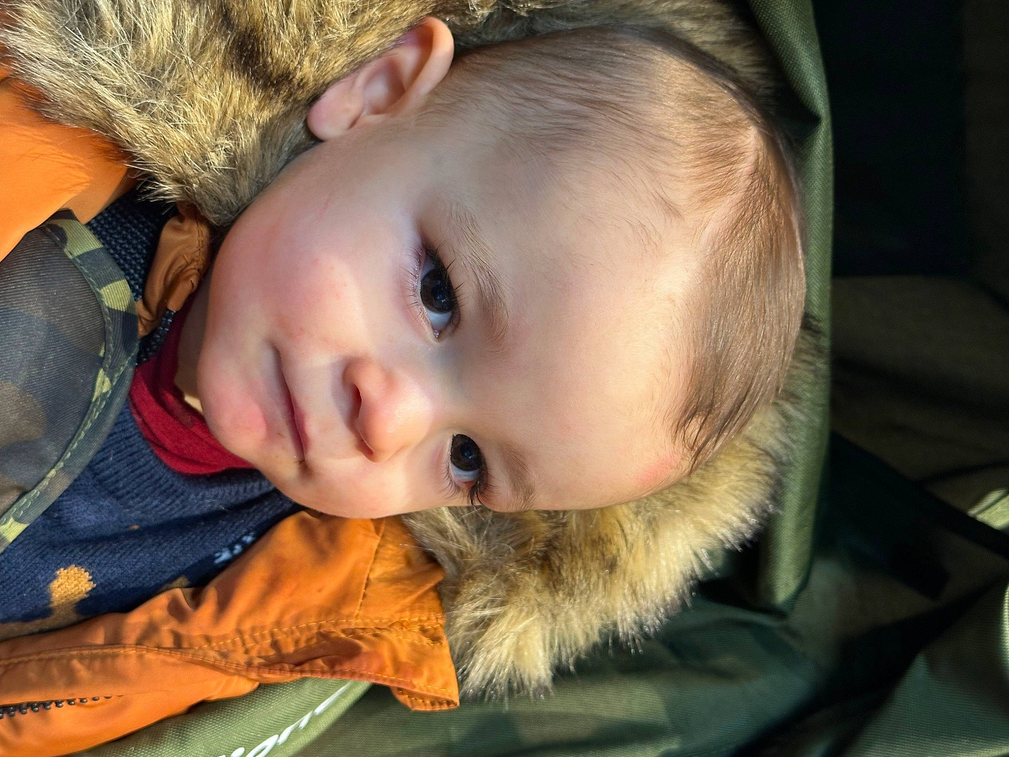 Paulo Alexandre participe au concours pour gagner de l'argent avec cette photo : baby, baby_toddler_clothing, cheek, child, chin, ear, eye, eyebrow, eyelash, facial_expression, flash_photography, fur, hair, head, iris, lip, nose, person, skin, toddler